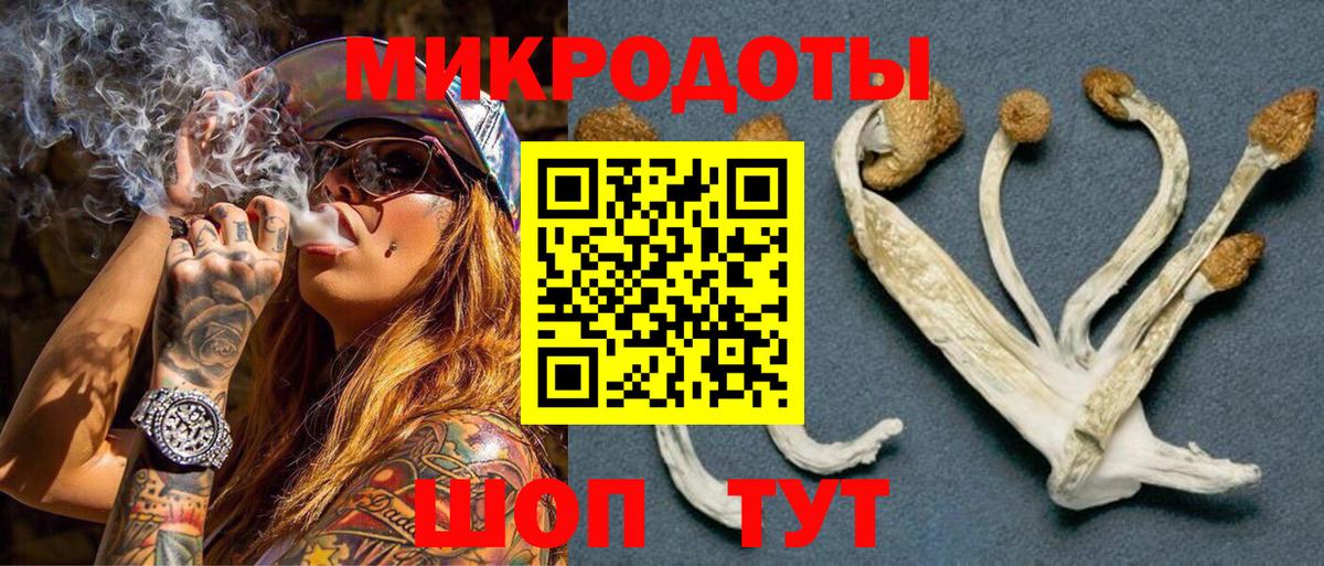Каспийск  Галлюциногенные грибы Psilocybine cubensis  Вход с VPN  Псилоцибиновые грибы Psilocybine cubensis 